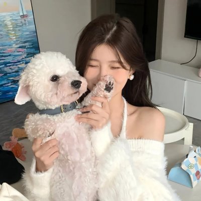 杀猫记